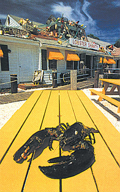Shanty-Lobster-National_Geographic_Traveler_Magazine