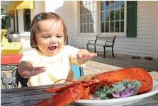 babyeatinglobster